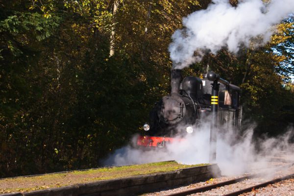 3988042-anglok_800x533